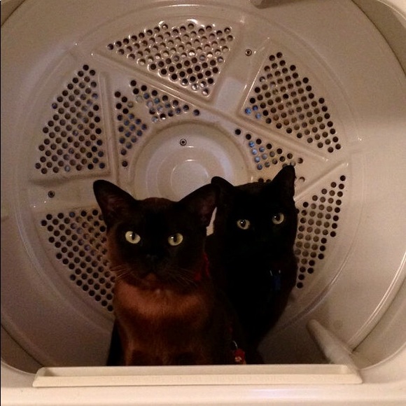 Meet your Posher, Ryan - Picture 5 of 5